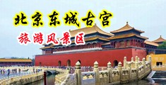 羞羞哒哒国产小视频中国北京-东城古宫旅游风景区
